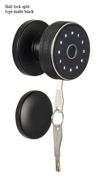 Spherical Fingerprint Smart Lock – Password Electronic Lock for Bedrooms & Homestays