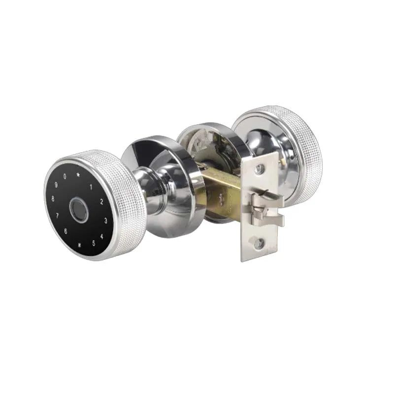 Spherical Fingerprint Smart Lock – Password Electronic Lock for Bedrooms & Homestays