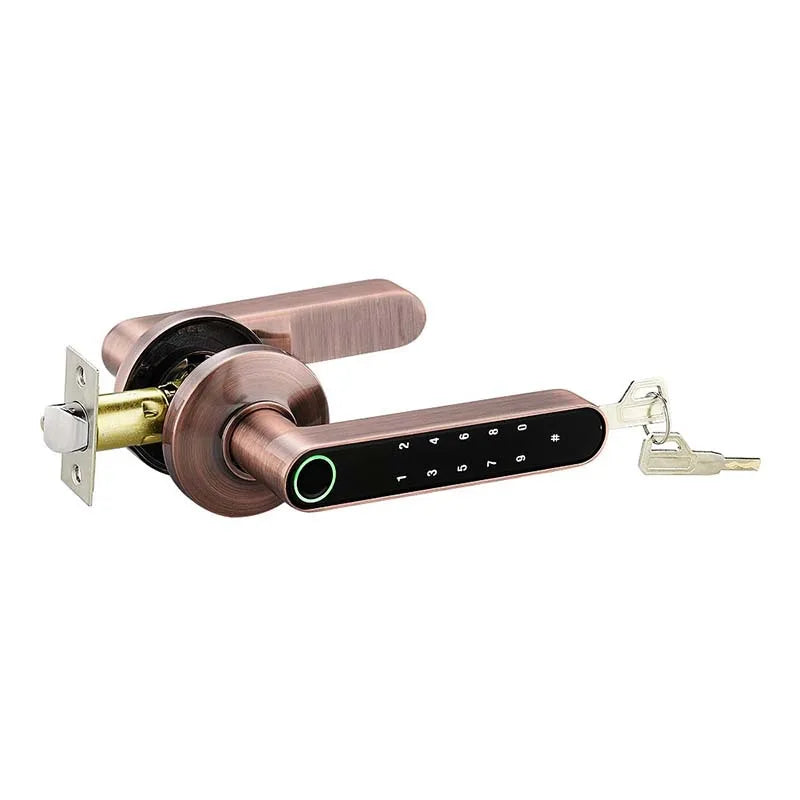 All-through Split Hotel Lock – Fingerprint & Card Smart Lock for Wooden Doors