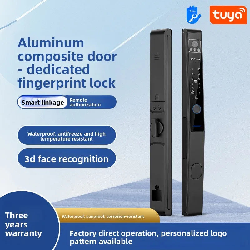 Broken Bridge Aluminum Facial Recognition Smart Lock Graffiti Fingerprint Lock Waterproof and High Temperature Resistance