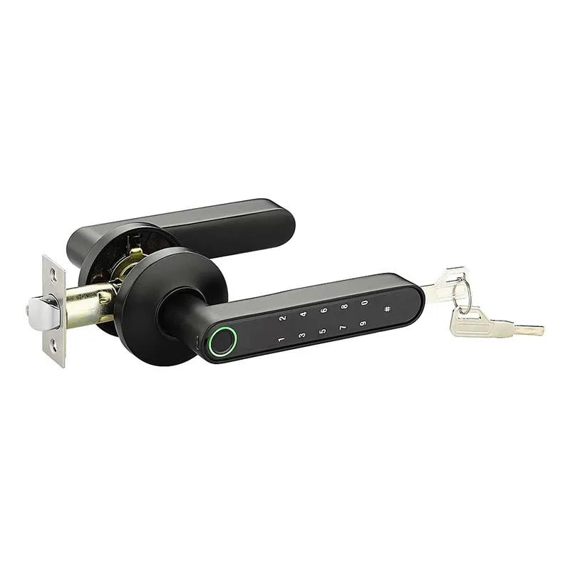 All-through Split Hotel Lock – Fingerprint & Card Smart Lock for Wooden Doors